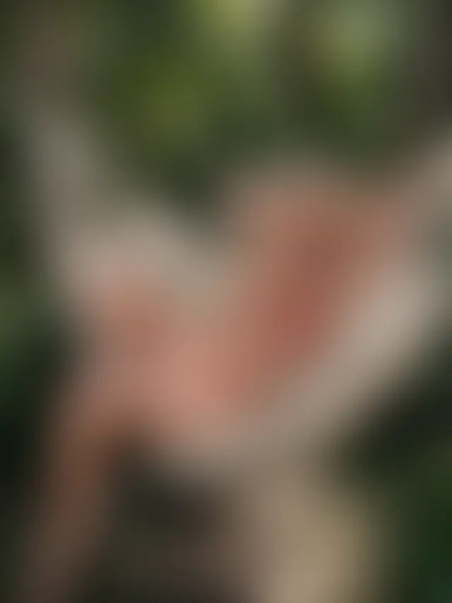 Locked photo