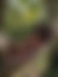 Locked photo