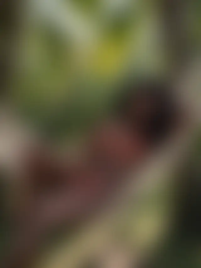 Locked photo